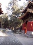 Zahrady  Konfuciova chrámu